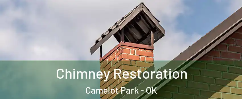 Chimney Restoration Camelot Park - OK