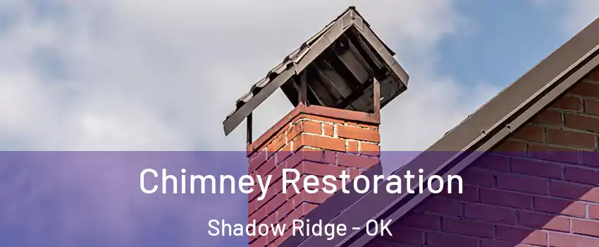 Chimney Restoration Shadow Ridge - OK