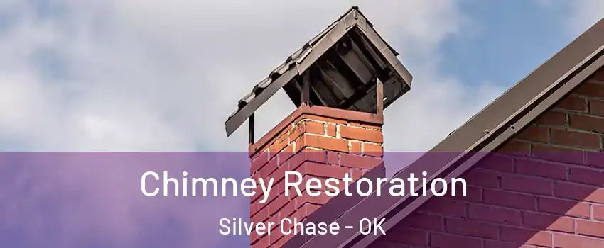 Chimney Restoration Silver Chase - OK