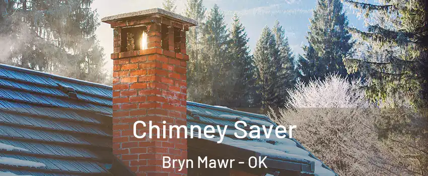 Chimney Saver Bryn Mawr - OK
