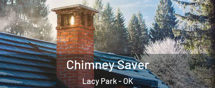 Chimney Saver Lacy Park - OK