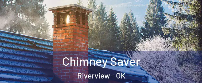 Chimney Saver Riverview - OK