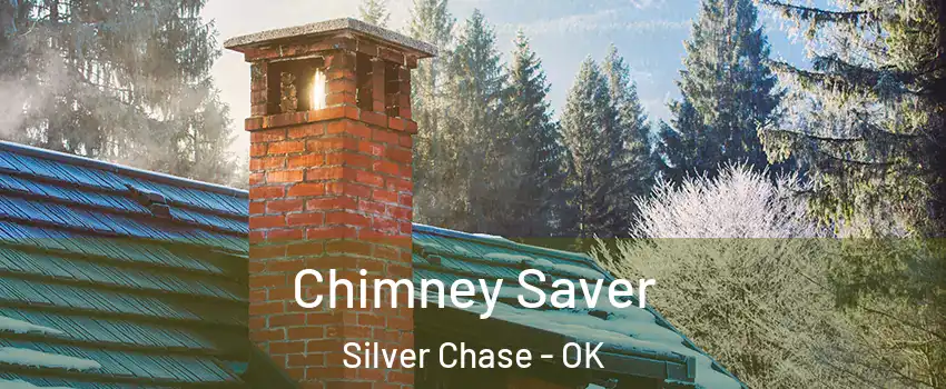 Chimney Saver Silver Chase - OK