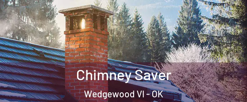 Chimney Saver Wedgewood VI - OK