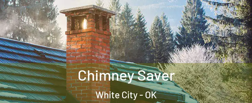 Chimney Saver White City - OK