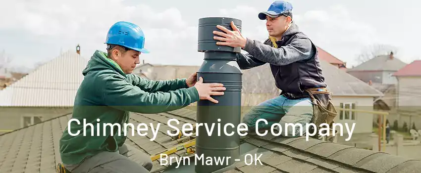 Chimney Service Company Bryn Mawr - OK