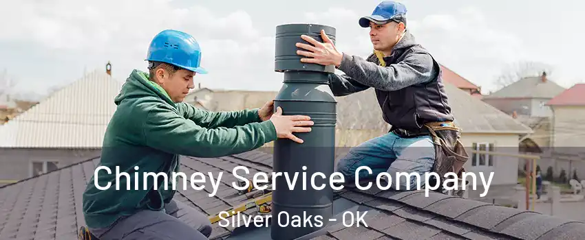 Chimney Service Company Silver Oaks - OK