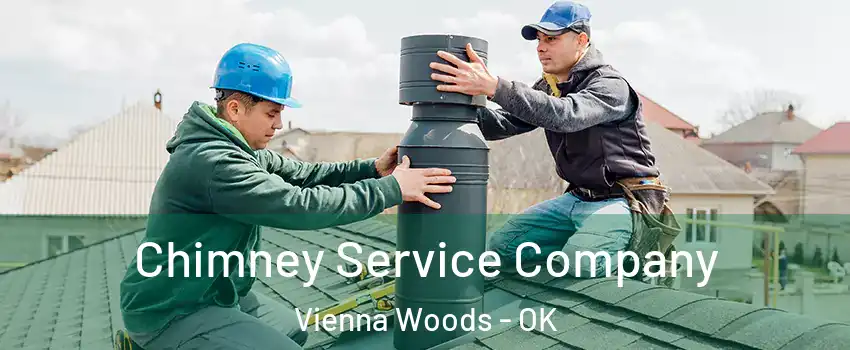 Chimney Service Company Vienna Woods - OK