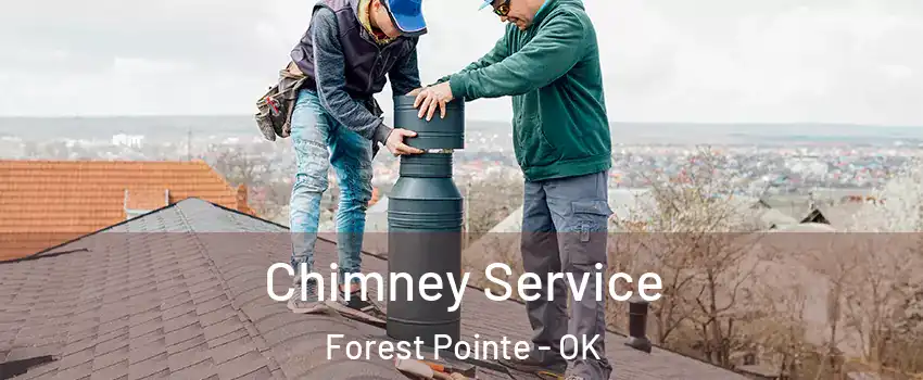 Chimney Service Forest Pointe - OK