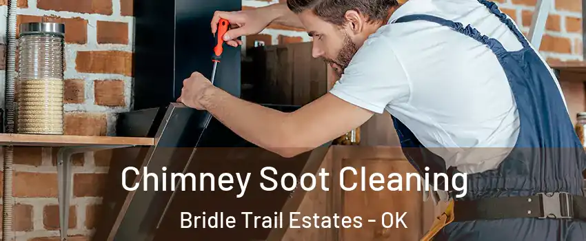 Chimney Soot Cleaning Bridle Trail Estates - OK