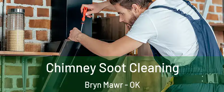 Chimney Soot Cleaning Bryn Mawr - OK