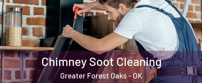 Chimney Soot Cleaning Greater Forest Oaks - OK