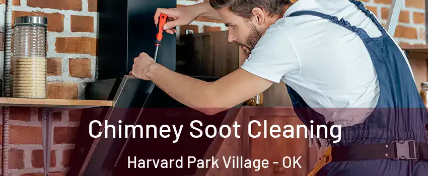 Chimney Soot Cleaning Harvard Park Village - OK