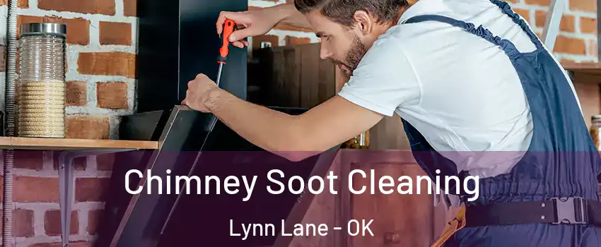 Chimney Soot Cleaning Lynn Lane - OK