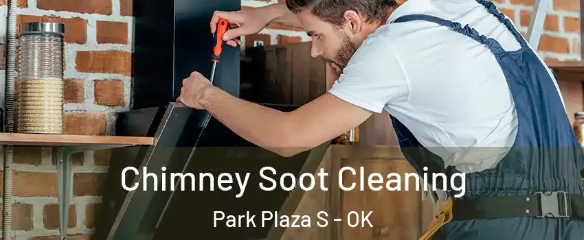 Chimney Soot Cleaning Park Plaza S - OK