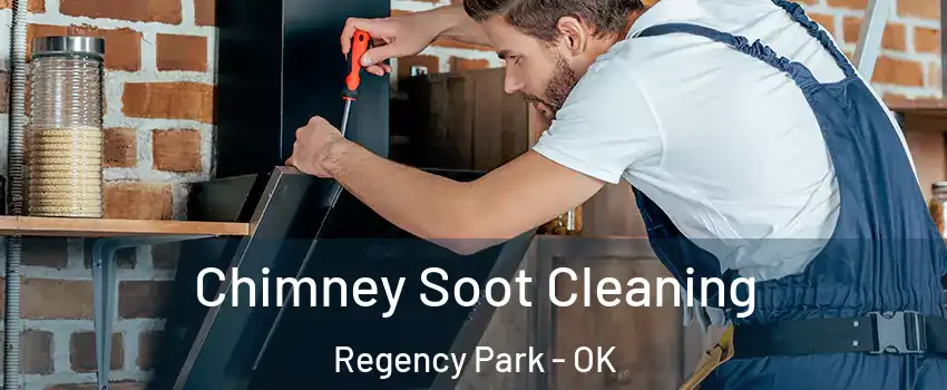 Chimney Soot Cleaning Regency Park - OK