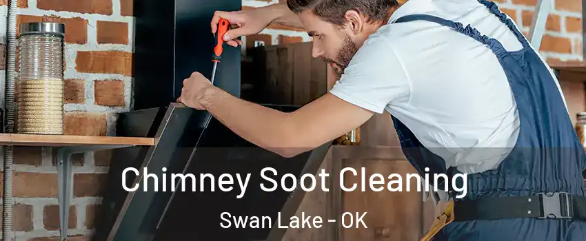 Chimney Soot Cleaning Swan Lake - OK