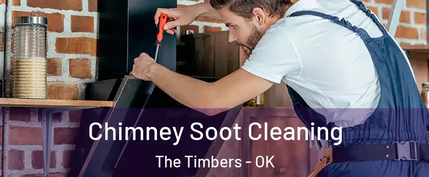 Chimney Soot Cleaning The Timbers - OK