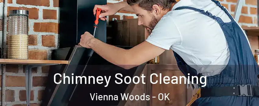 Chimney Soot Cleaning Vienna Woods - OK