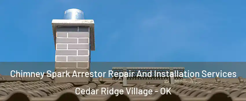 Chimney Spark Arrestor Repair And Installation Services Cedar Ridge Village - OK