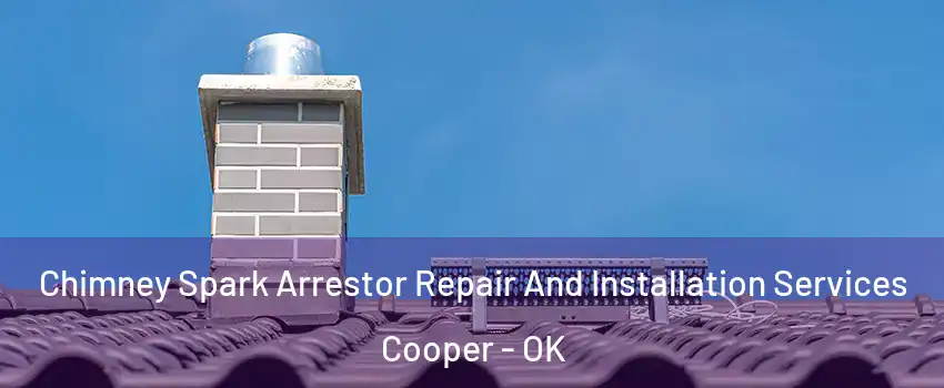 Chimney Spark Arrestor Repair And Installation Services Cooper - OK