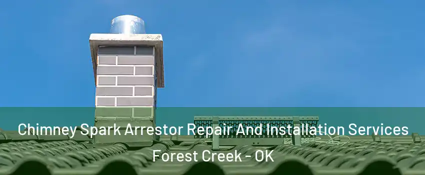 Chimney Spark Arrestor Repair And Installation Services Forest Creek - OK