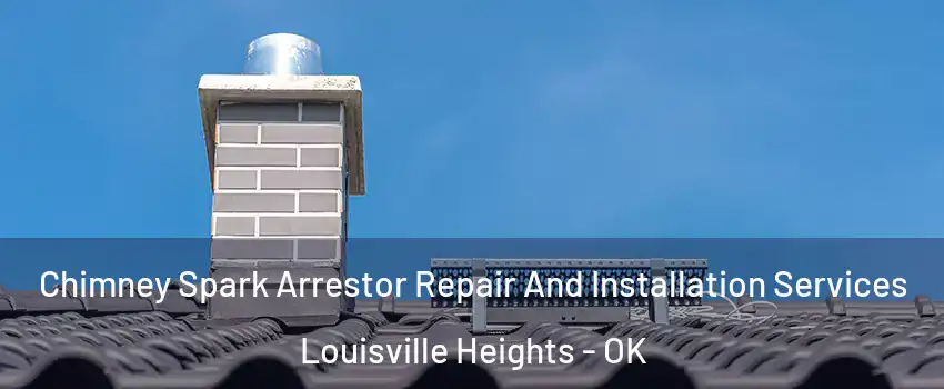 Chimney Spark Arrestor Repair And Installation Services Louisville Heights - OK