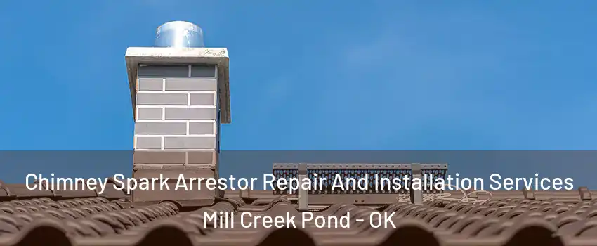 Chimney Spark Arrestor Repair And Installation Services Mill Creek Pond - OK