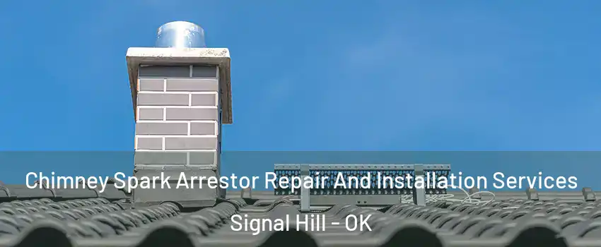 Chimney Spark Arrestor Repair And Installation Services Signal Hill - OK