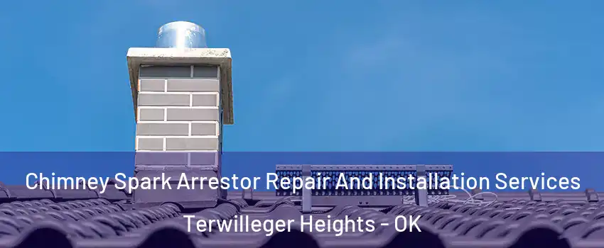 Chimney Spark Arrestor Repair And Installation Services Terwilleger Heights - OK