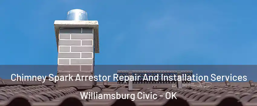 Chimney Spark Arrestor Repair And Installation Services Williamsburg Civic - OK