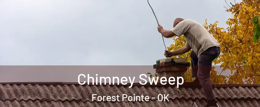Chimney Sweep Forest Pointe - OK