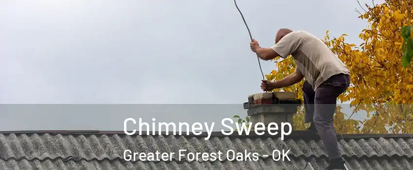 Chimney Sweep Greater Forest Oaks - OK