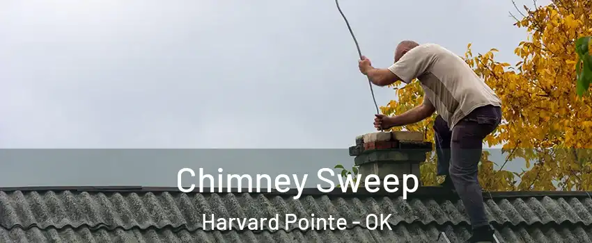 Chimney Sweep Harvard Pointe - OK