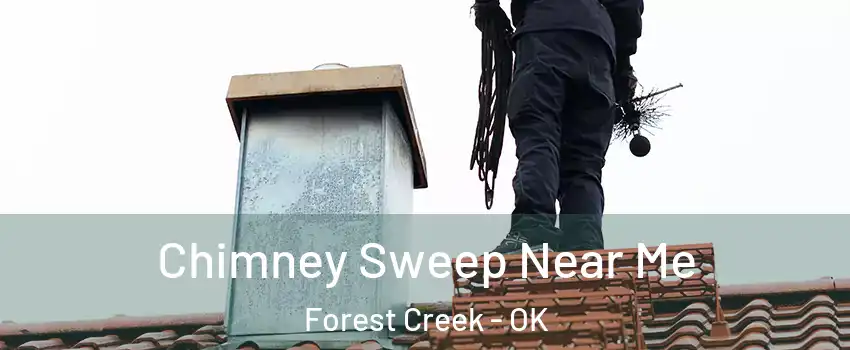 Chimney Sweep Near Me Forest Creek - OK