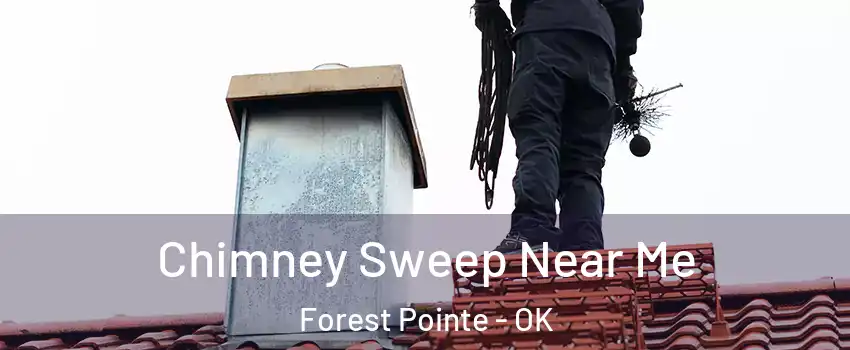 Chimney Sweep Near Me Forest Pointe - OK