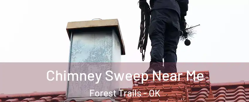 Chimney Sweep Near Me Forest Trails - OK