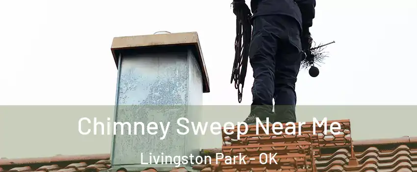 Chimney Sweep Near Me Livingston Park - OK