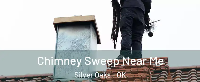 Chimney Sweep Near Me Silver Oaks - OK