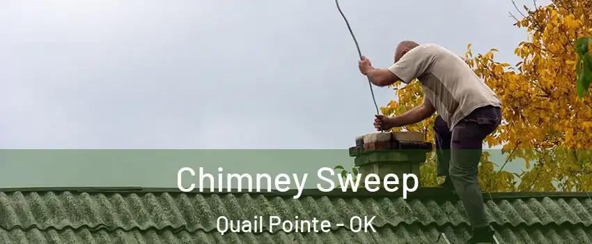 Chimney Sweep Quail Pointe - OK