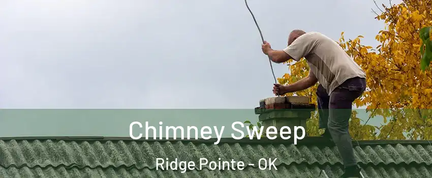 Chimney Sweep Ridge Pointe - OK