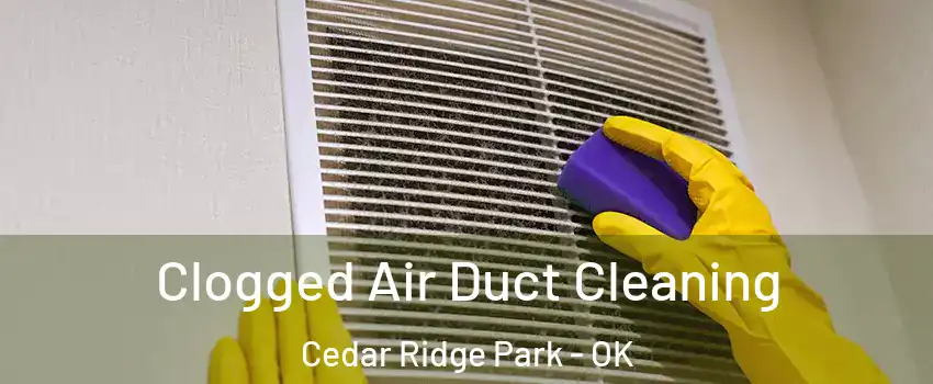 Clogged Air Duct Cleaning Cedar Ridge Park - OK