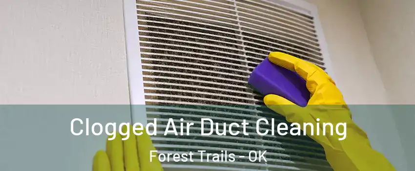 Clogged Air Duct Cleaning Forest Trails - OK