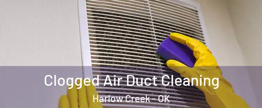 Clogged Air Duct Cleaning Harlow Creek - OK
