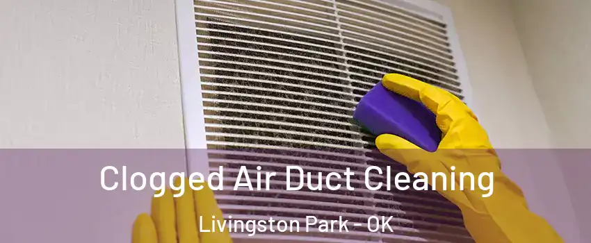 Clogged Air Duct Cleaning Livingston Park - OK