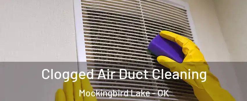 Clogged Air Duct Cleaning Mockingbird Lake - OK