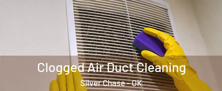 Clogged Air Duct Cleaning Silver Chase - OK