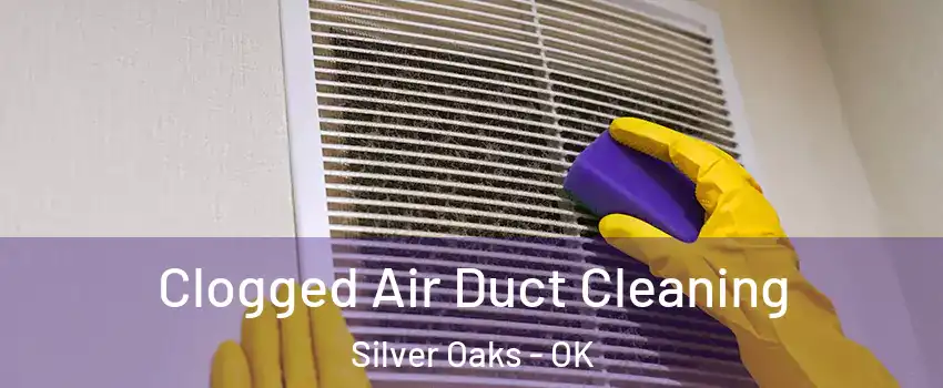 Clogged Air Duct Cleaning Silver Oaks - OK