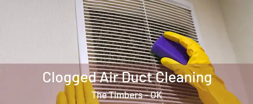 Clogged Air Duct Cleaning The Timbers - OK