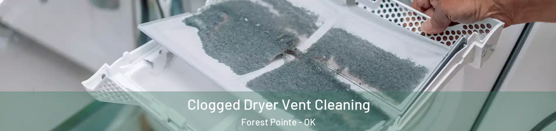 Clogged Dryer Vent Cleaning Forest Pointe - OK